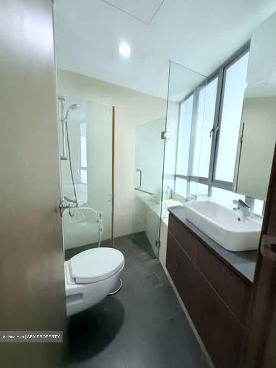 Novelis (D11), Apartment #552360091